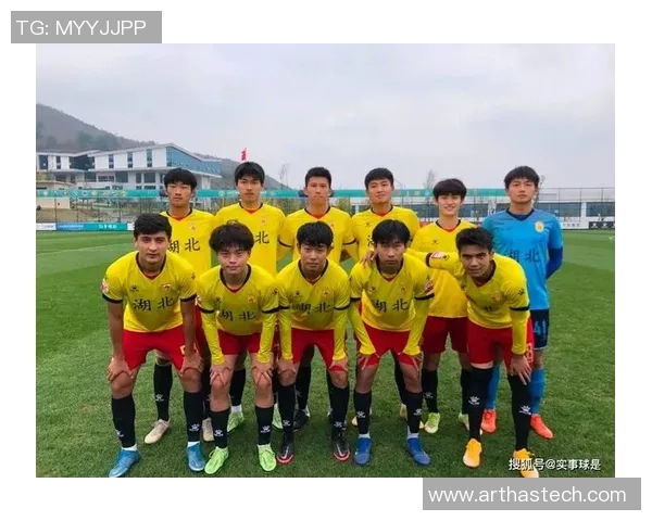 武汉足球队技术分析与战术创新的深度探讨与未来展望